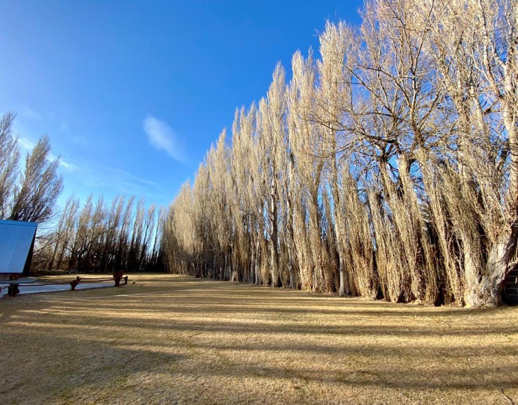 Hosteria & Cabanas Rio Fenix Perito Moreno Kültér fotó